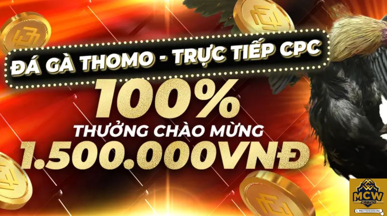 Tổng quan về đá gà Mcw Casino