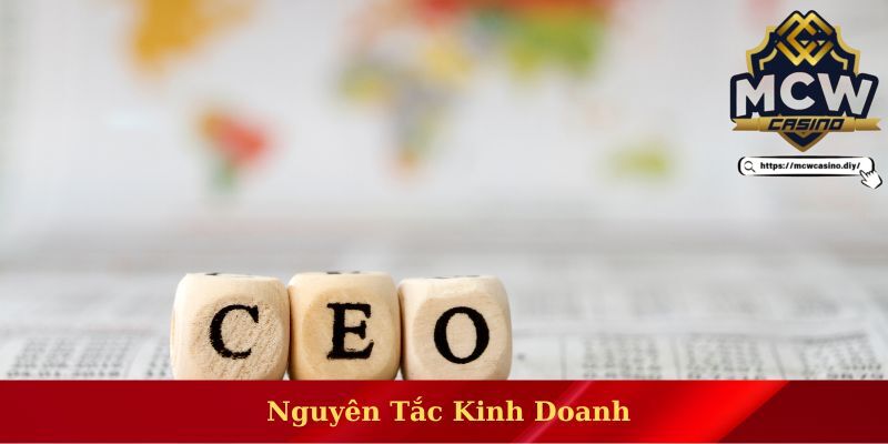 Nguyên tắc kinh doanh đáng nể của vị CEO Louis Trần